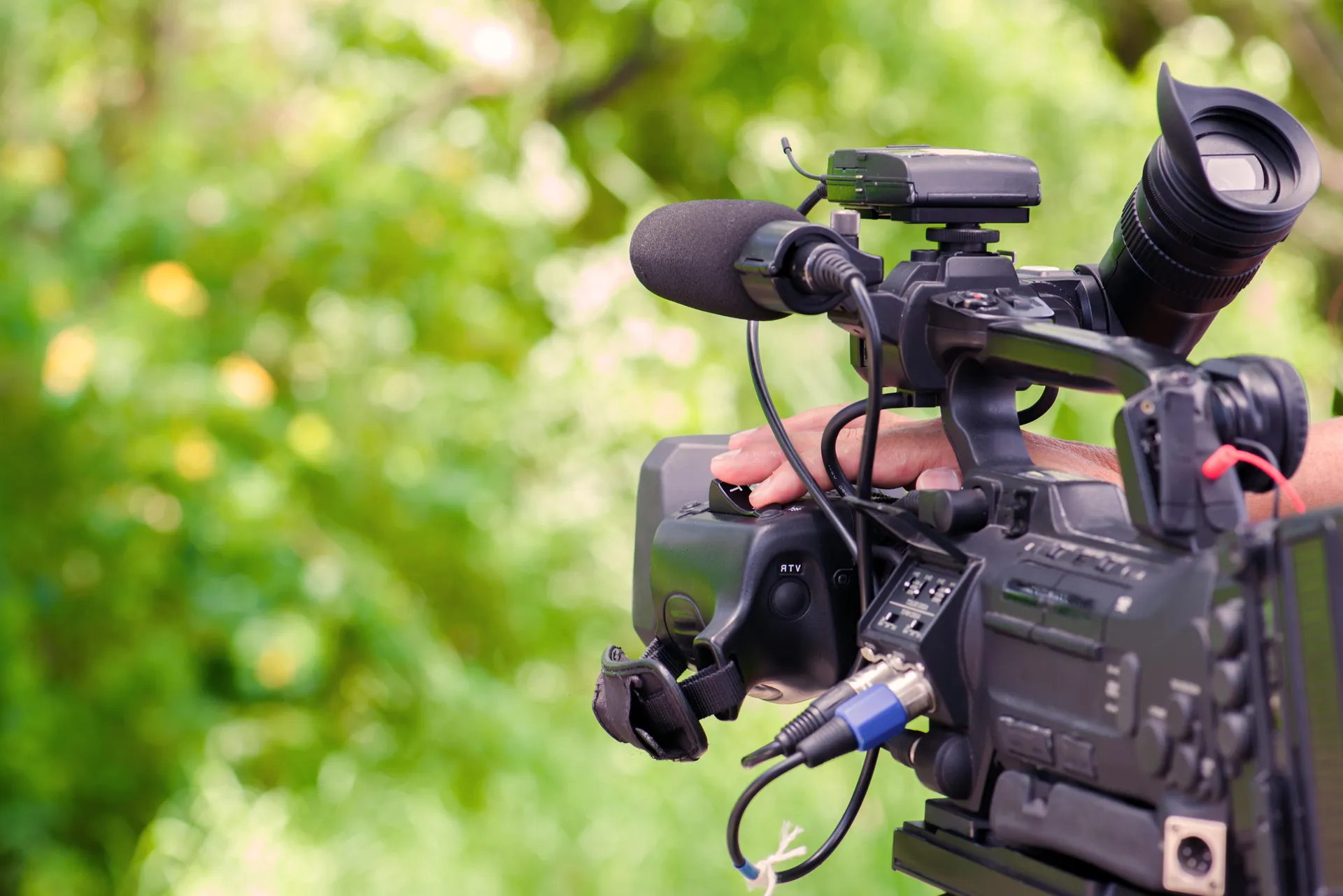 Botanická zahrada hl. m. Prahy - obrázek 1