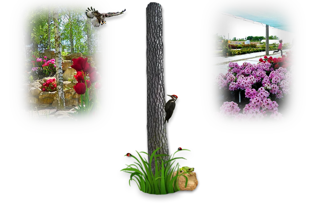 Garden park - obrázek 1