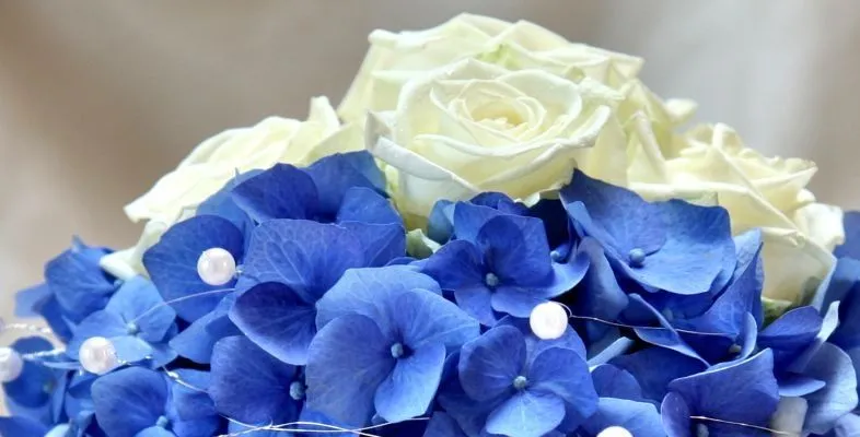 Květiny od Lenky - obrázek 1