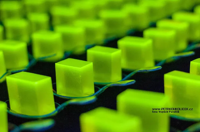 Molekulární catering - obrázek 1