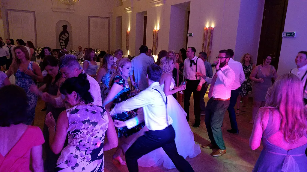 Dj Ludwa - obrázek 1