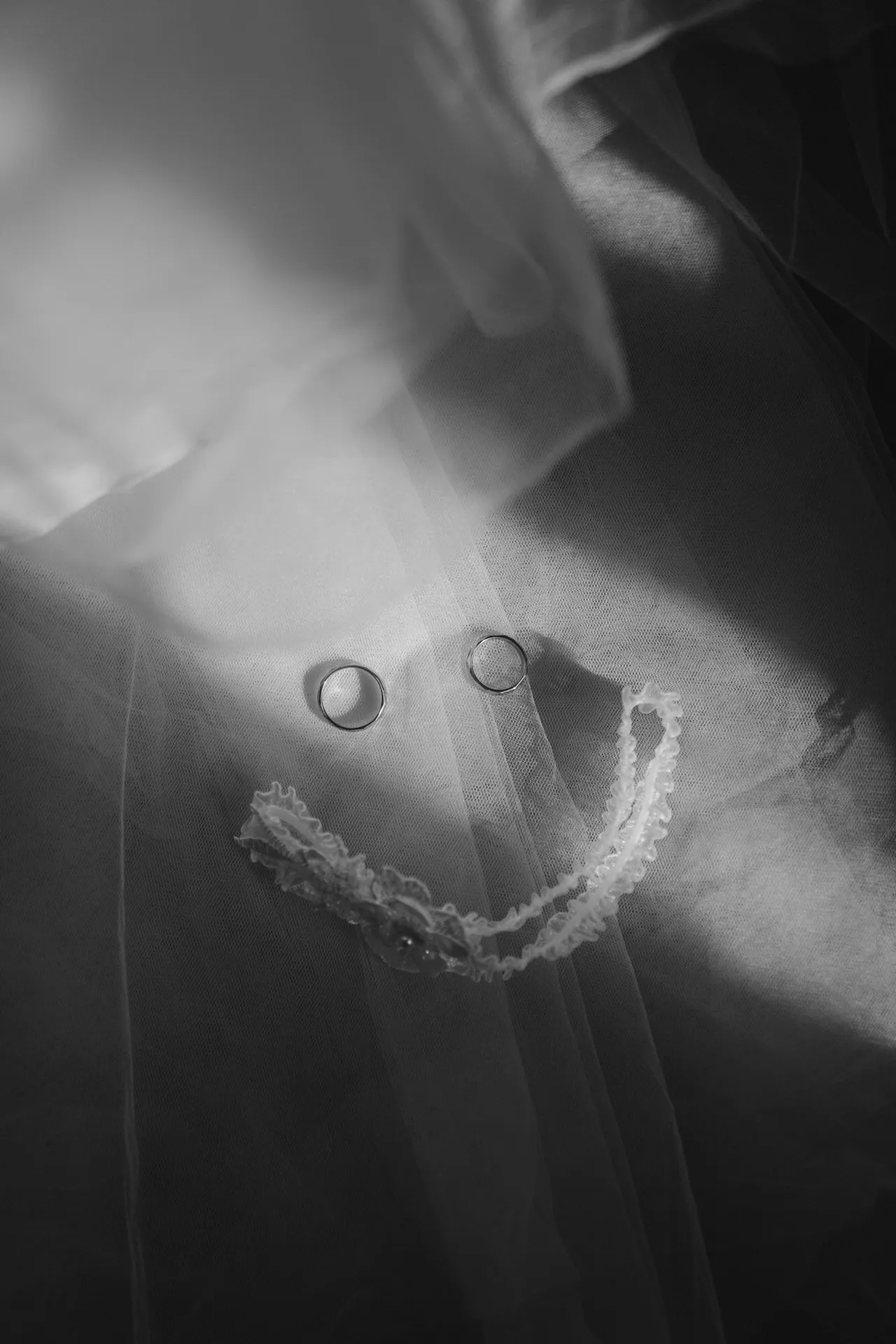 Eva Veselá / EVÁR. - obrázek 1