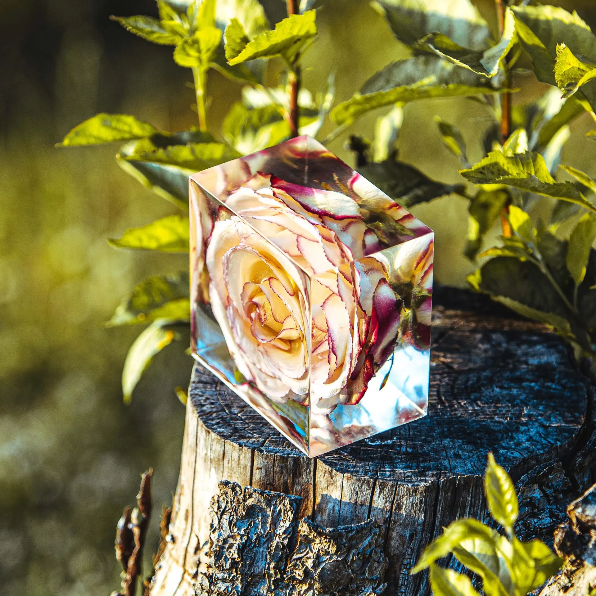 Floracast - Zachování svatební kytice do pryskyřice - obrázek 1