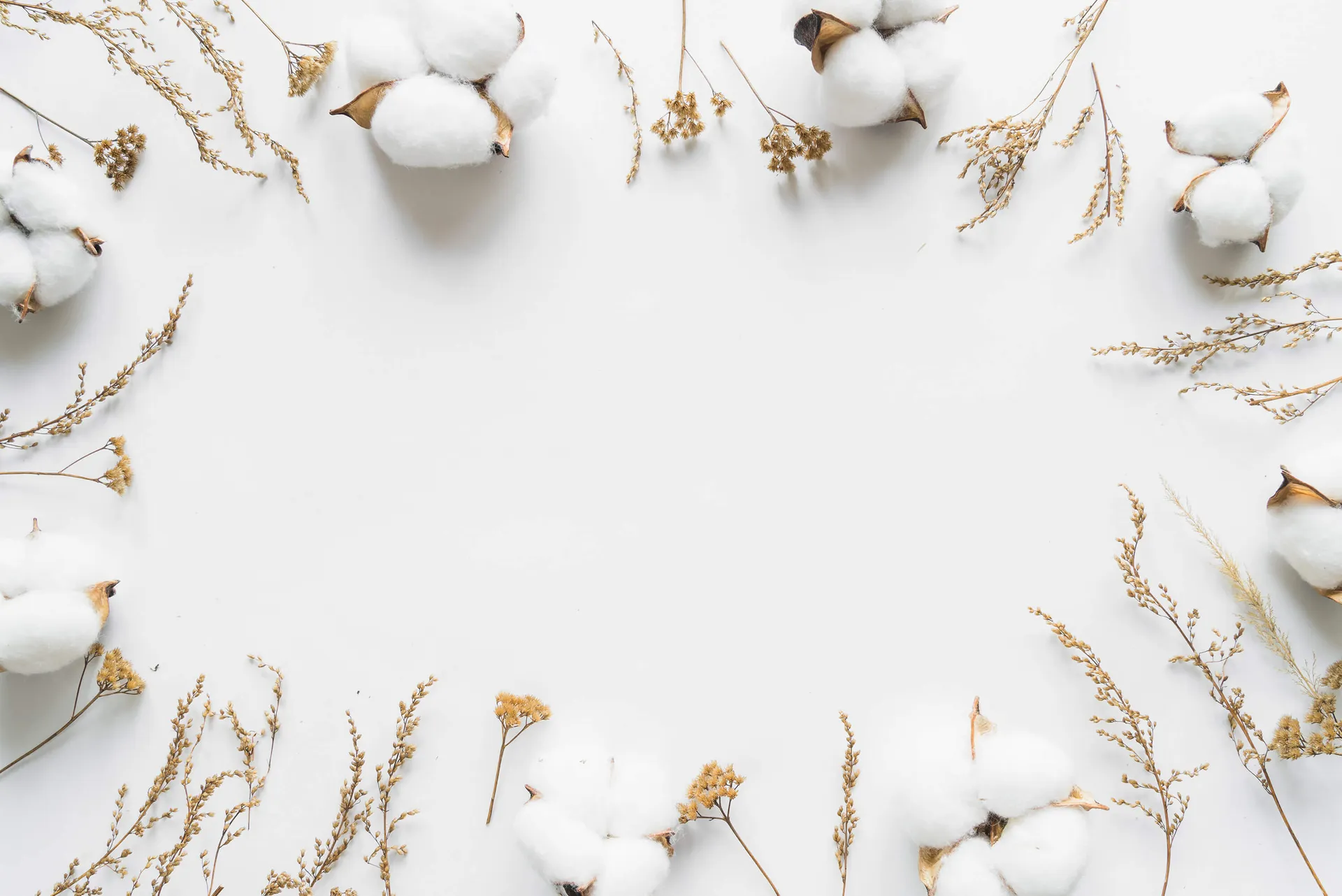 Hotofoto - obrázek 1