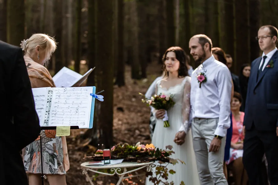 Hudba na svatby - Duo , trio, kvarteto - obrázek 1