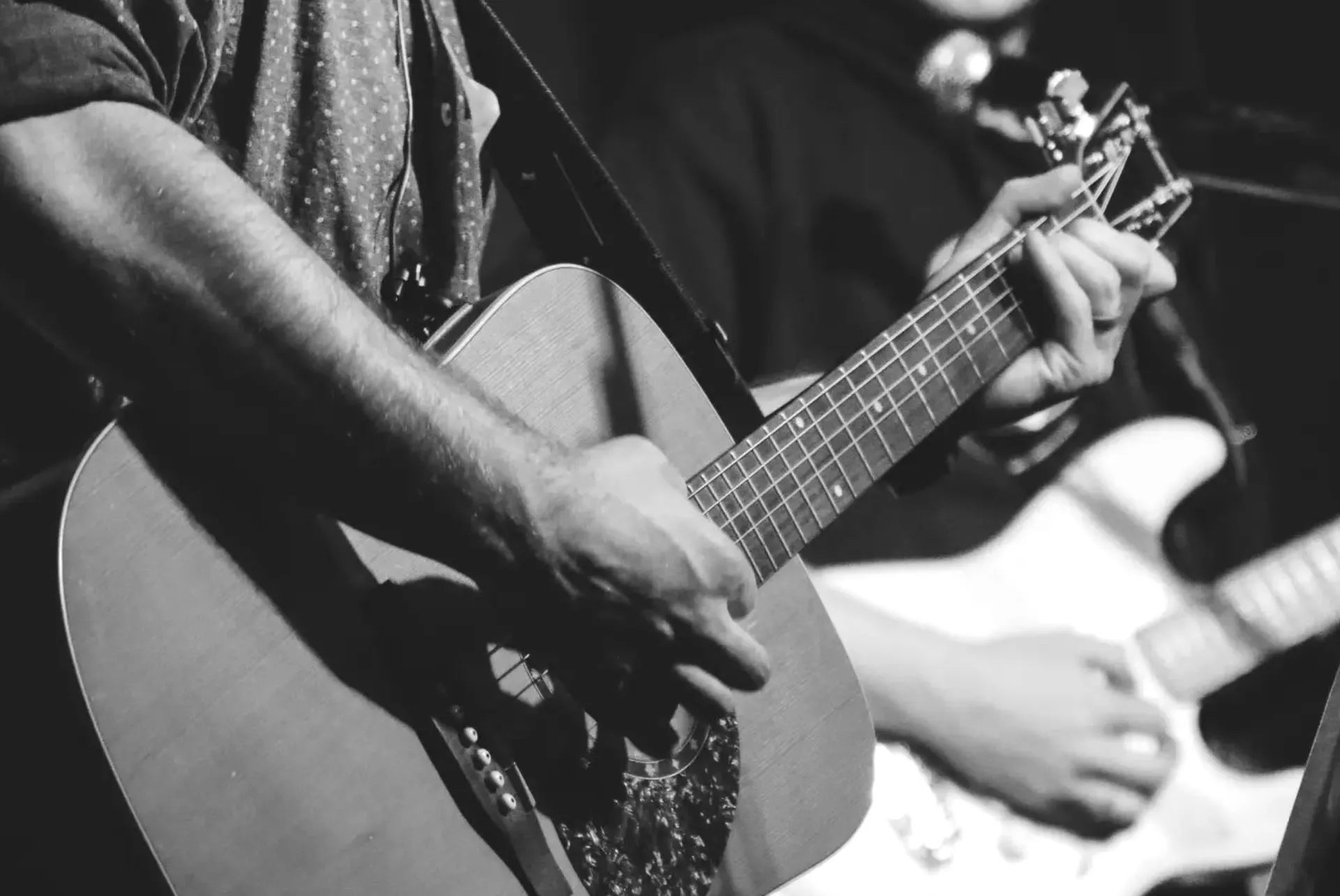 Hudební skupina cavyky - obrázek 1