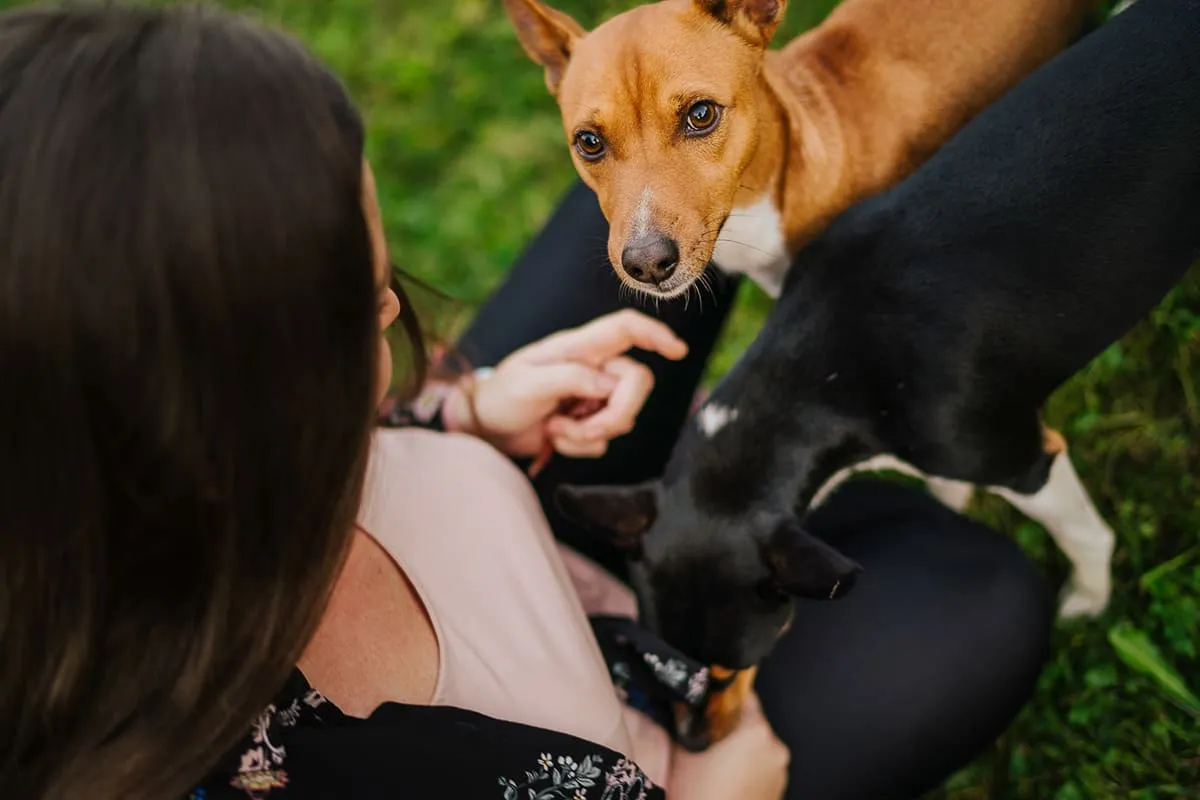 Kateřina Sedláčková - obrázek 1