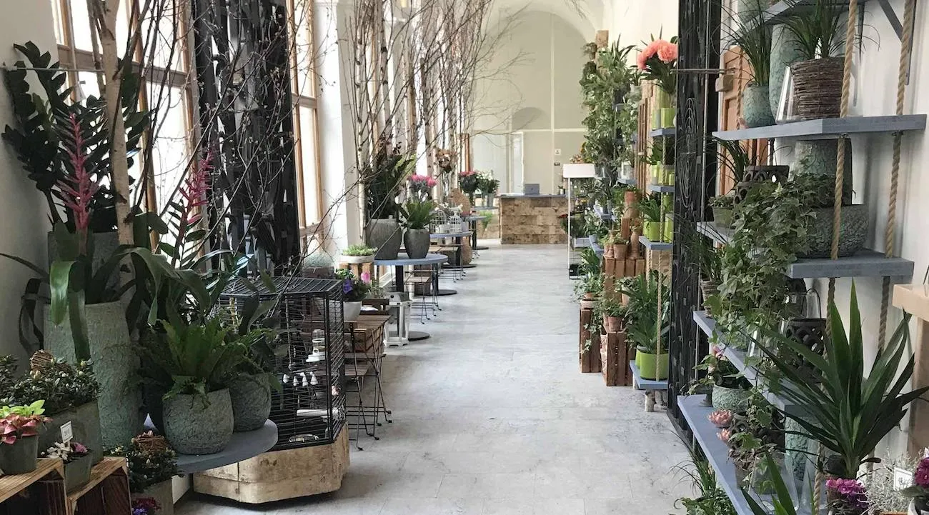 Květinářství GALERIE Brno - obrázek 1