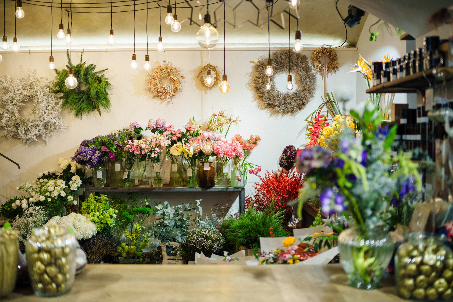 luka:sh - obrázek 1