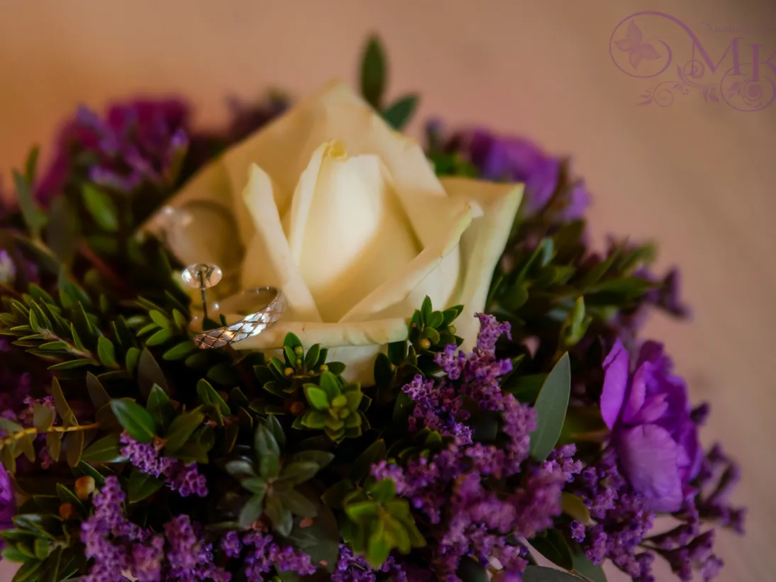 Medová Krása - vizážistka, vlasová stylistka a fotografka - obrázek 1