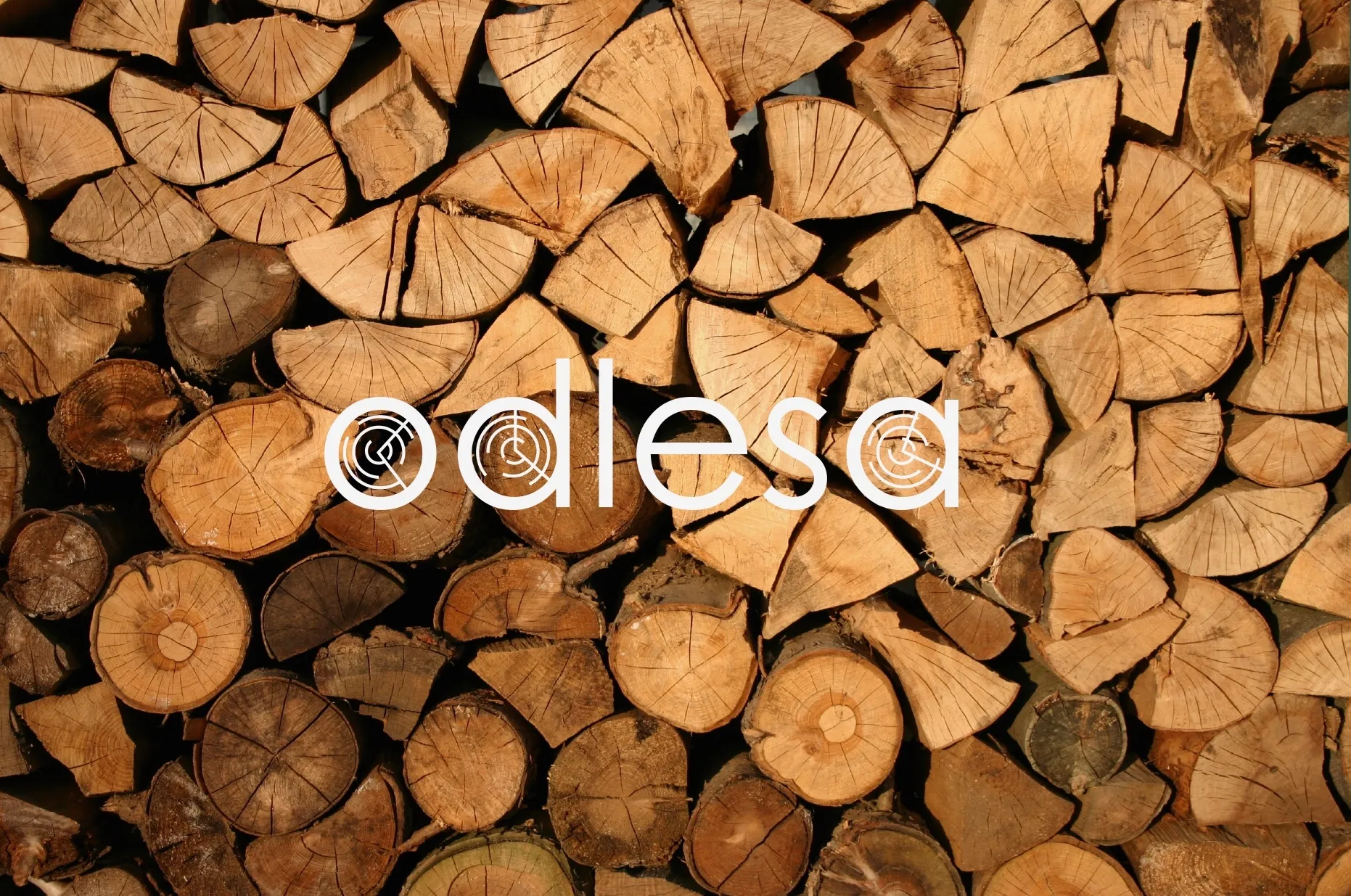 Odlesa catering - obrázek 1