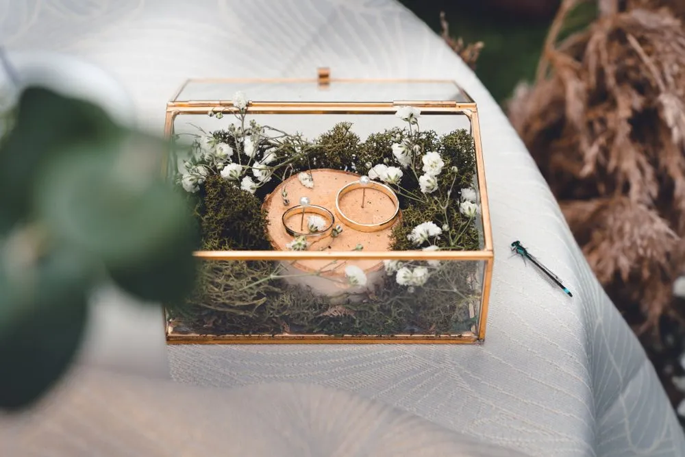 Petra Voet Photography - obrázek 1