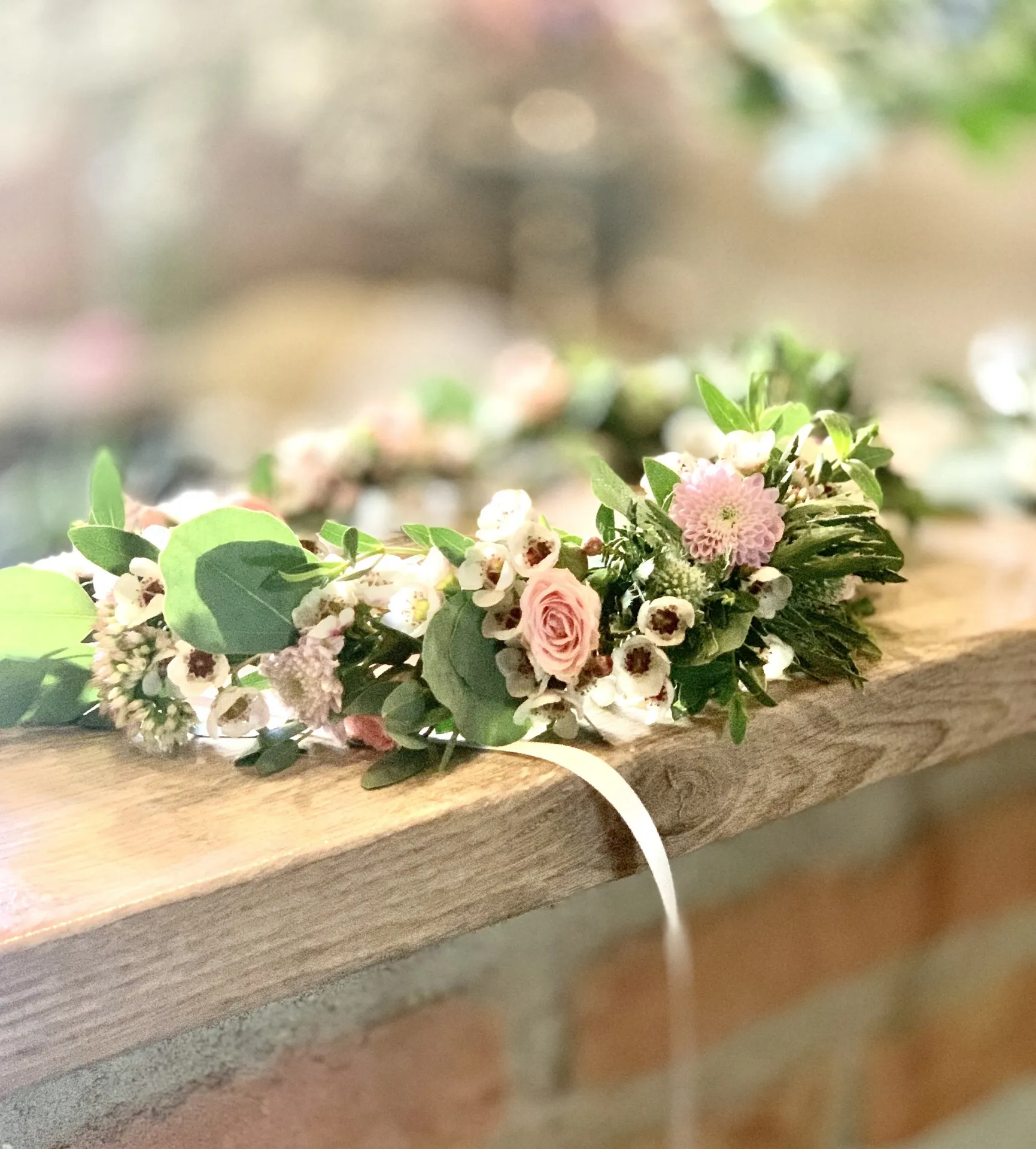 Sladké stonky - obrázek 1