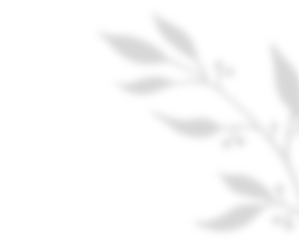 sNOVE svatby - obrázek 1