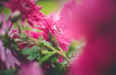 Dorty Eva Lišková - obrázek 1