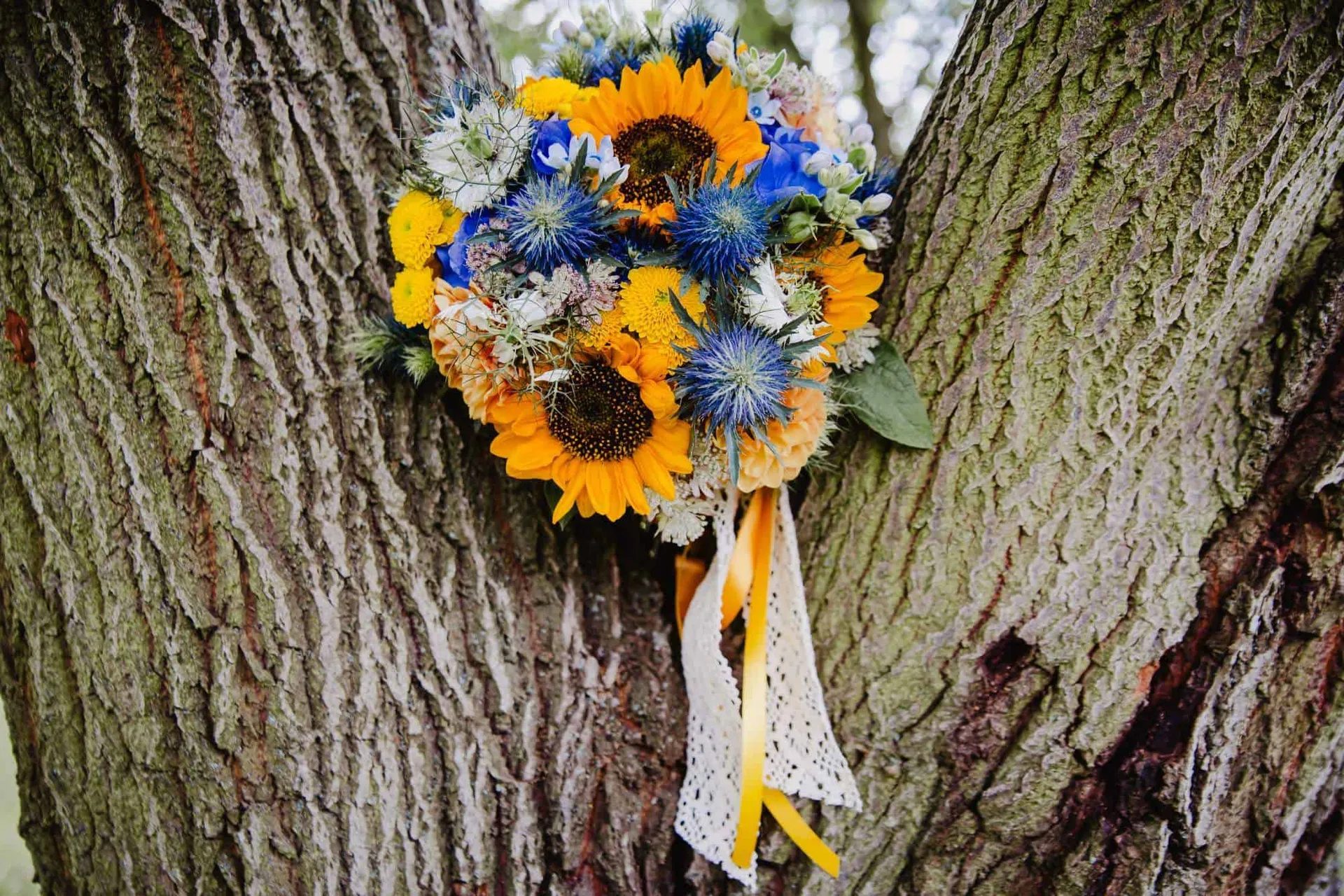 Apartmán-hotel Jítravský Dvorec